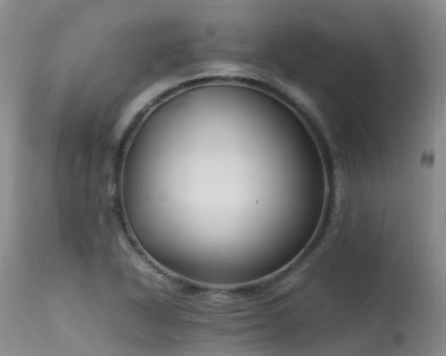 X0000113621318200909251157