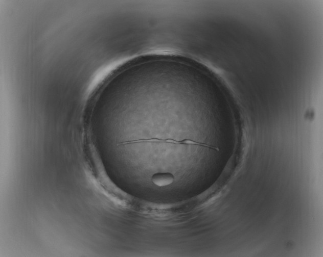 X0000113621319200909251157