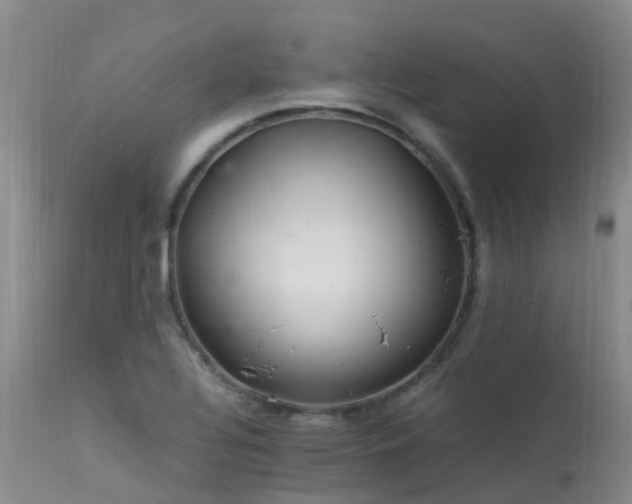 X0000113621320200909251157