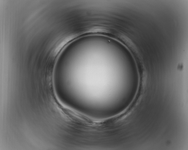 X0000113621321200909251157