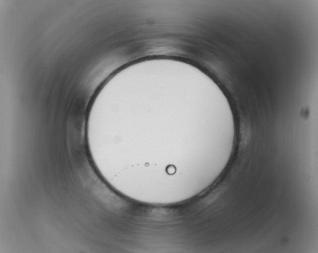 X0000113621322200909251157