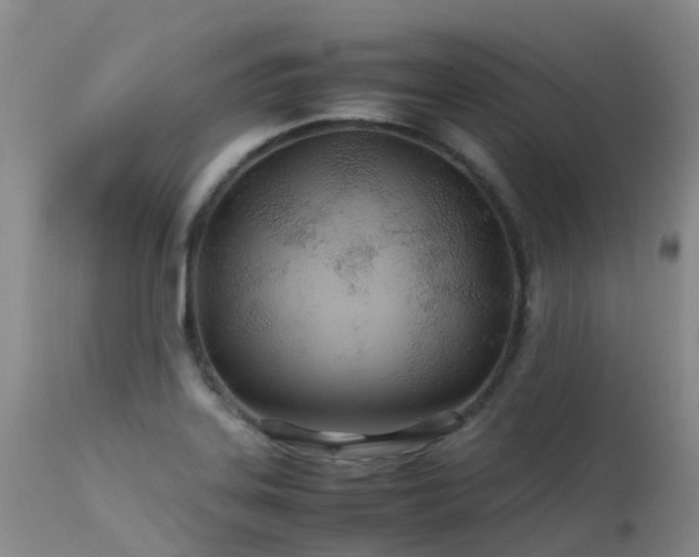 X0000113621323200909251157