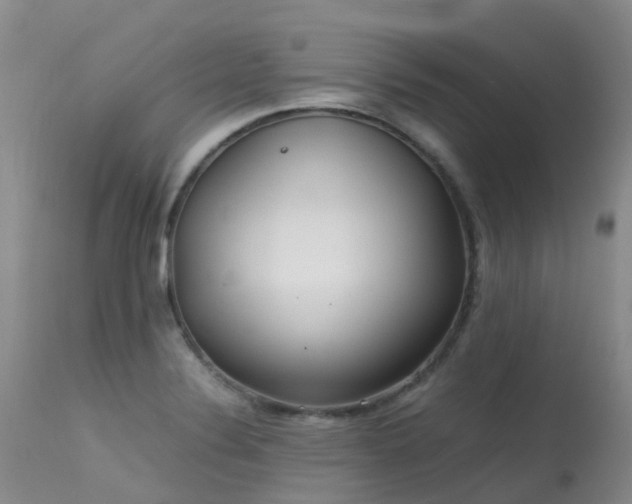 X0000113621324200909251157