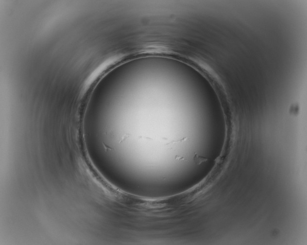 X0000113621325200909251157