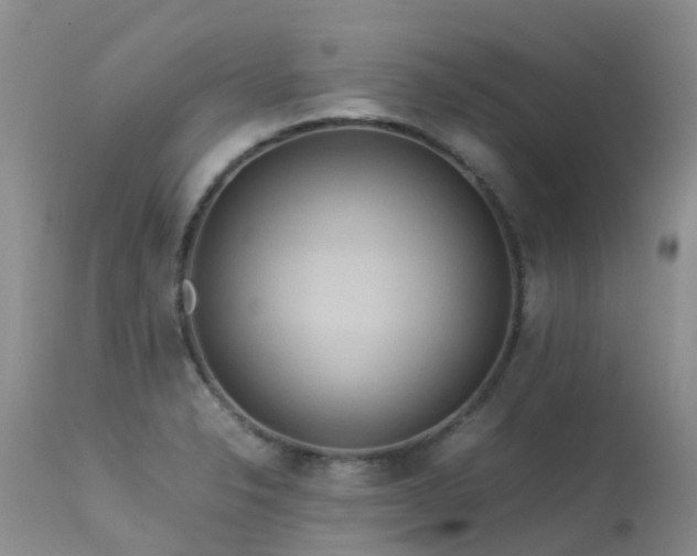 X0000113621326200909251157