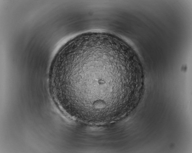 X0000113621327200909251157