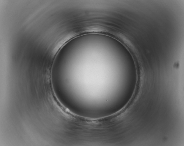 X0000113621329200909251157