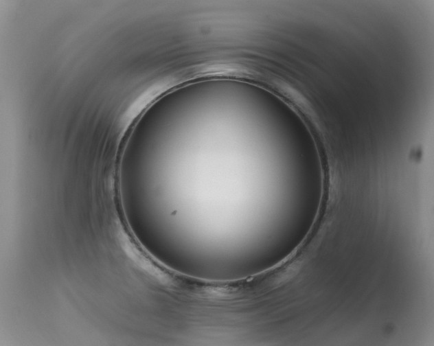 X0000113621330200909251157