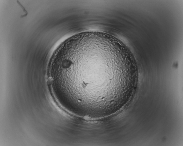 X0000113621331200909251157