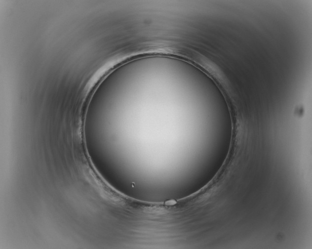 X0000113621332200909251157