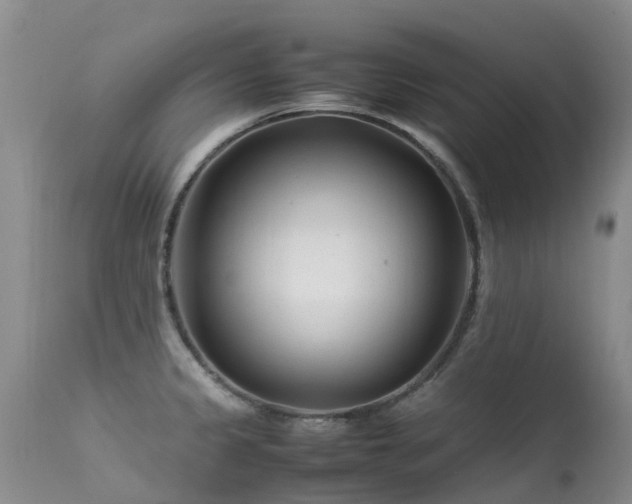 X0000113621333200909251157