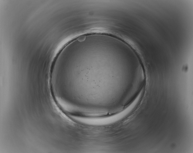 X0000113621334200909251157