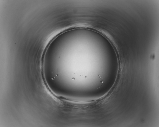 X0000113621335200909251157