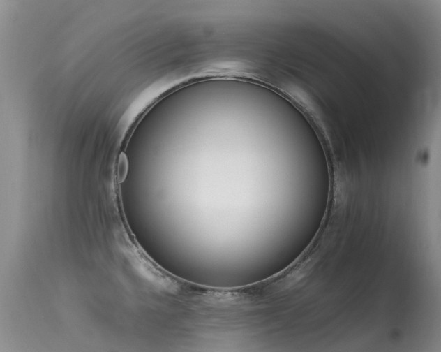 X0000113621336200909251157