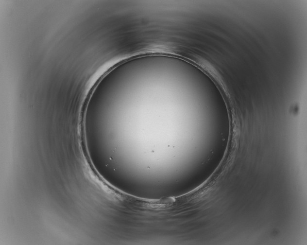 X0000113621339200909251157