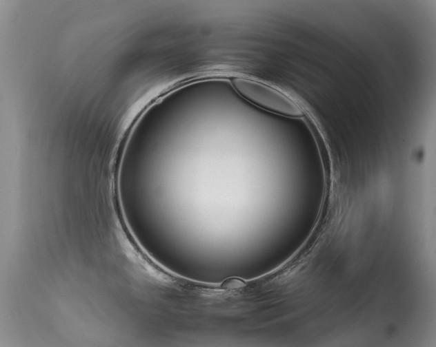 X0000113621341200909251157