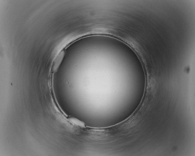 X0000113621342200909251157