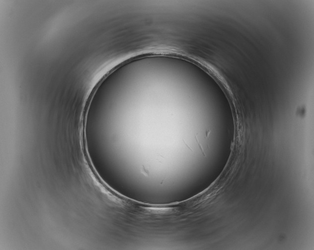 X0000113621343200909251157