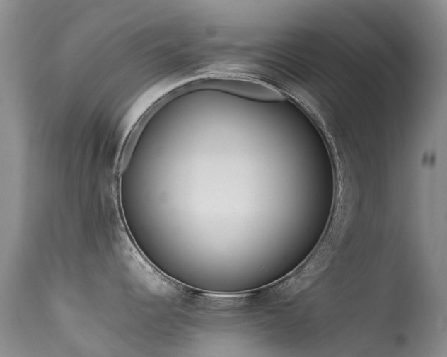 X0000113621344200909251157