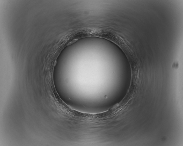 X0000113621345200909251157