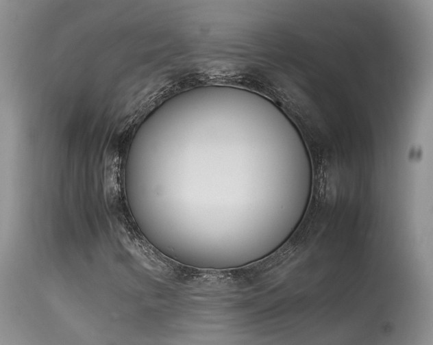 X0000113621346200909251157