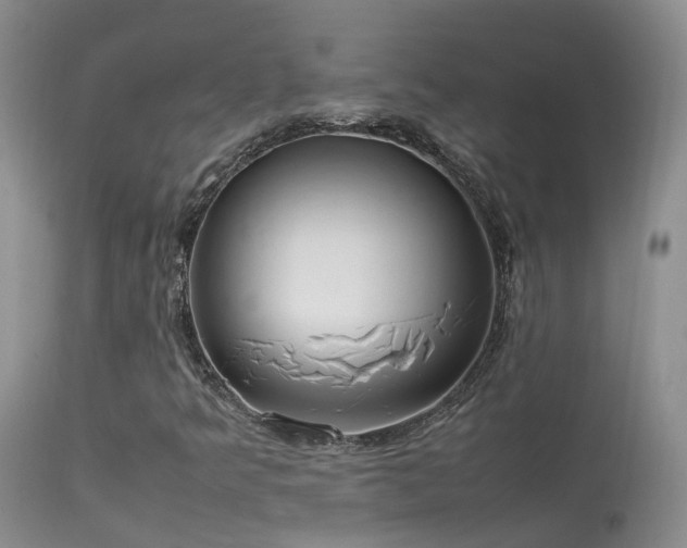 X0000113621349200909251156