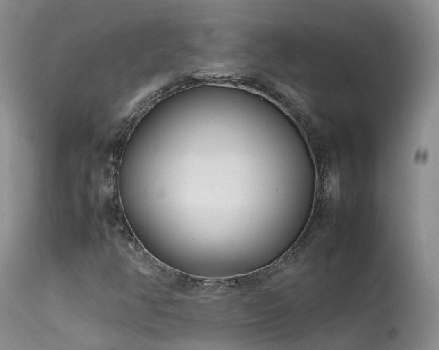 X0000113621350200909251156