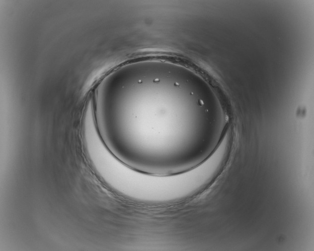 X0000113621357200909251156