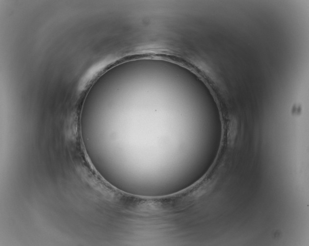 X0000113621358200909251156