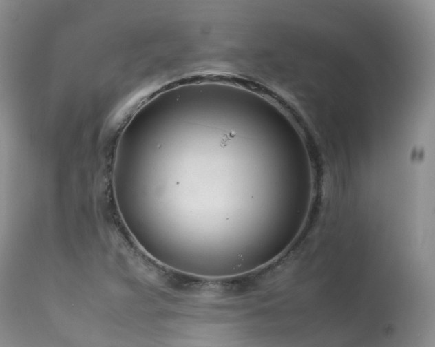 X0000113621359200909251156