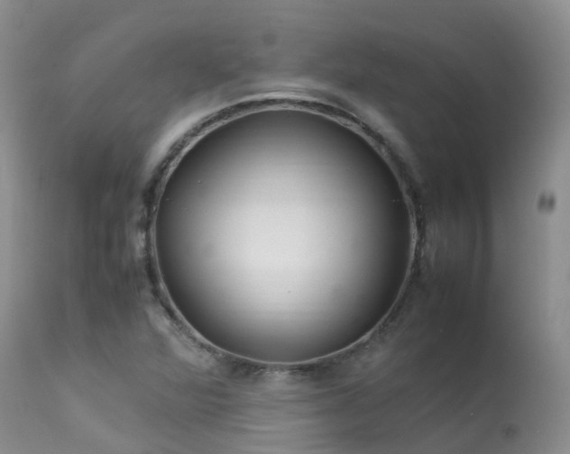 X0000113621360200909251156