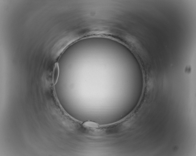 X0000113621361200909251156