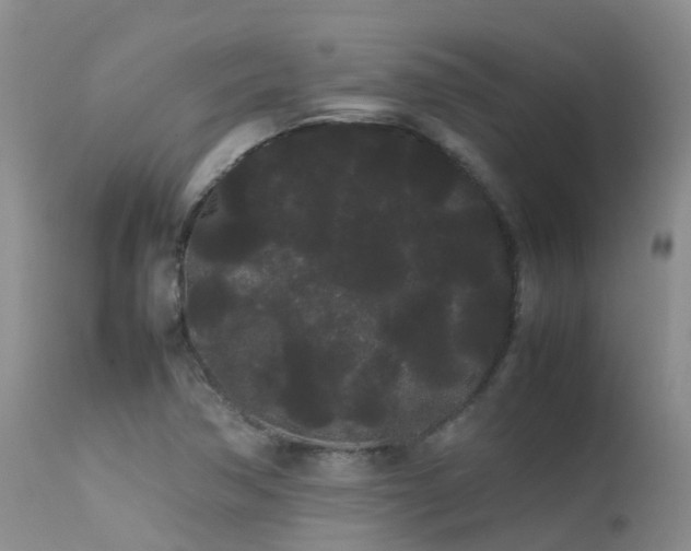 X0000113621362200909251156