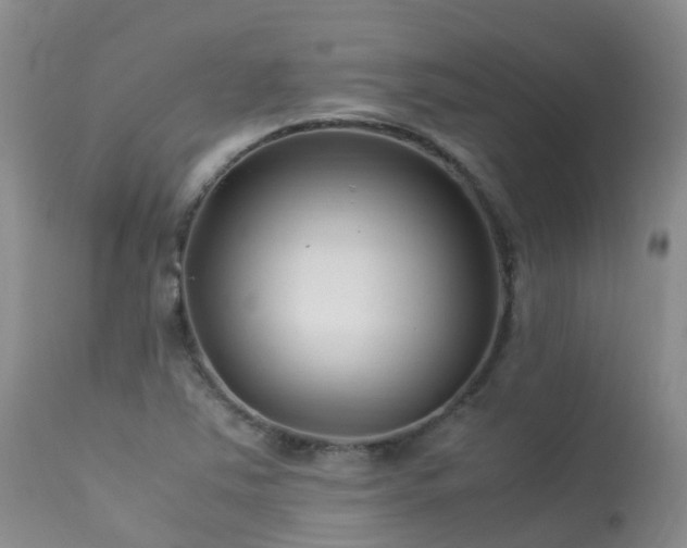 X0000113621363200909251156