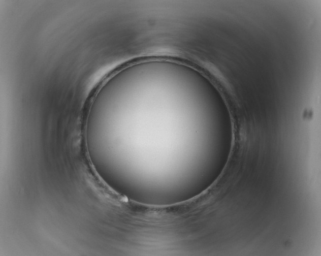 X0000113621364200909251156