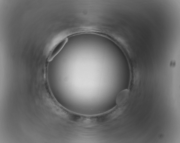 X0000113621365200909251156