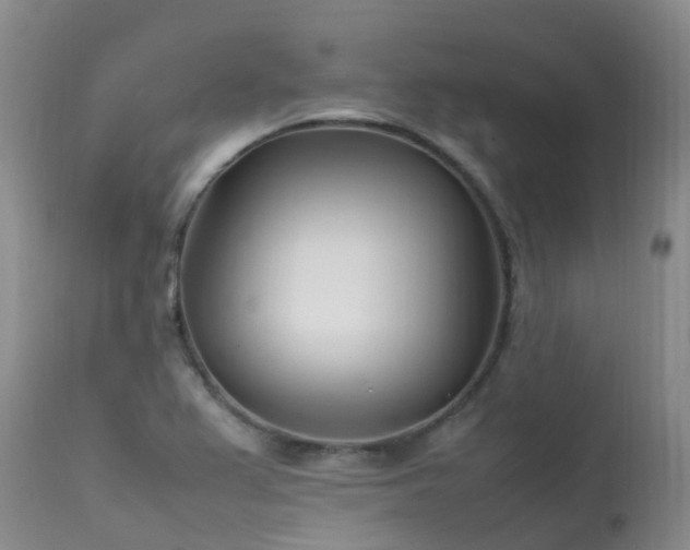 X0000113621367200909251156