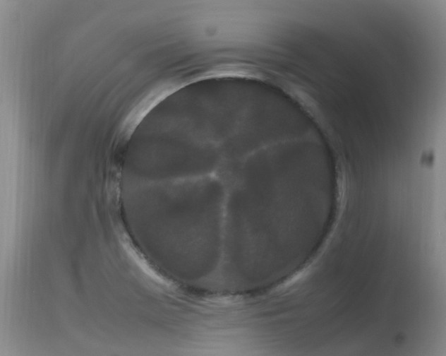 X0000113621369200909251156