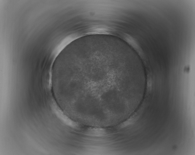 X0000113621370200909251156