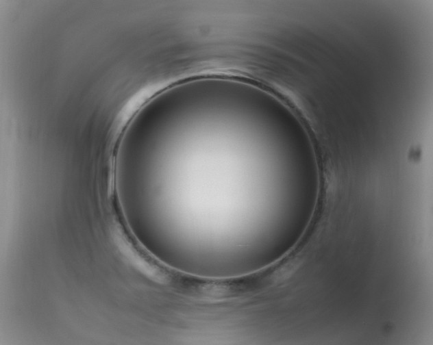 X0000113621371200909251156