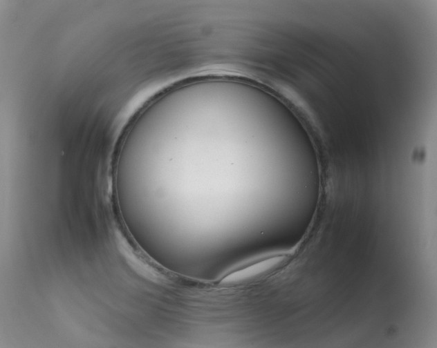 X0000113621372200909251156