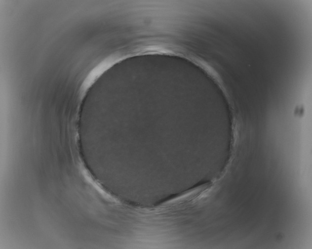 X0000113621373200909251156