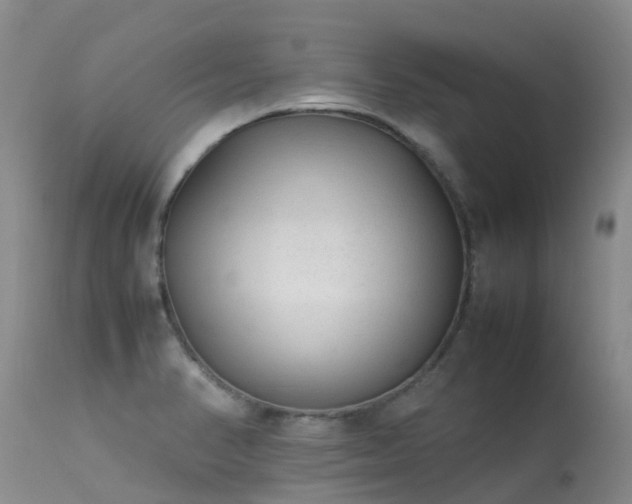 X0000113621374200909251156