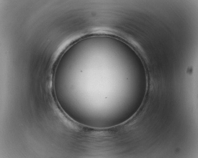 X0000113621376200909251156