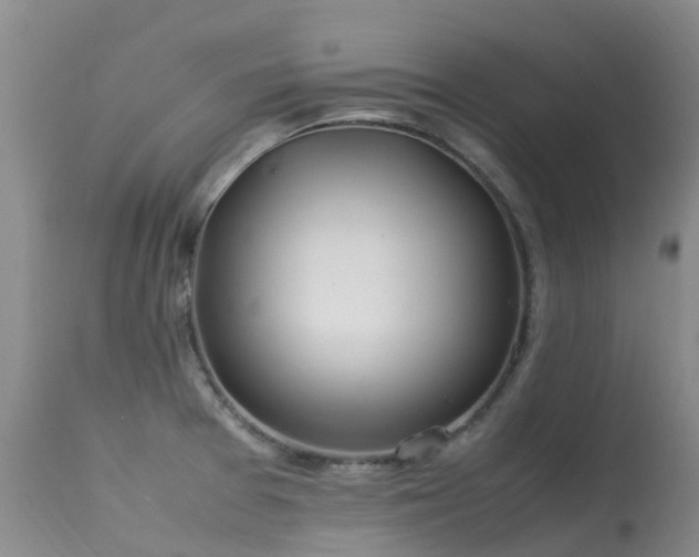 X0000113621377200909251156