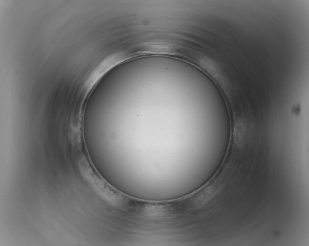 X0000113621378200909251156