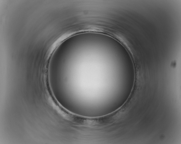 X0000113621379200909251156