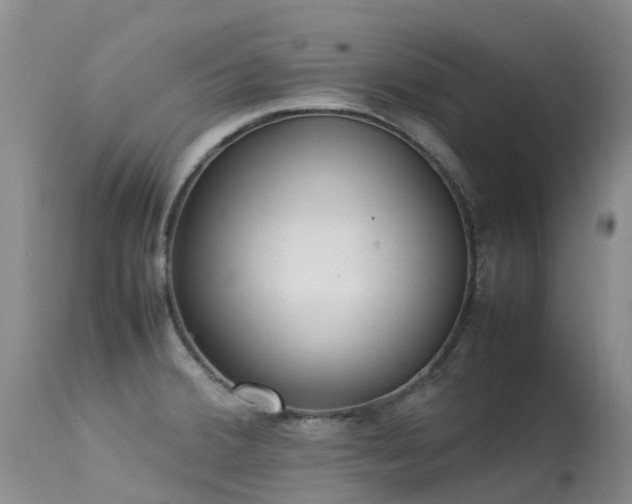 X0000113621380200909251156