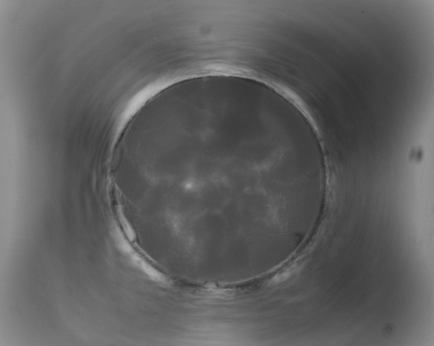 X0000113621381200909251156