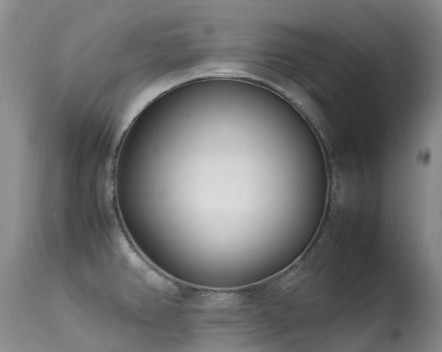 X0000113621382200909251156